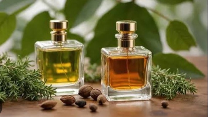 معرفی عطر های  طبع گرم 