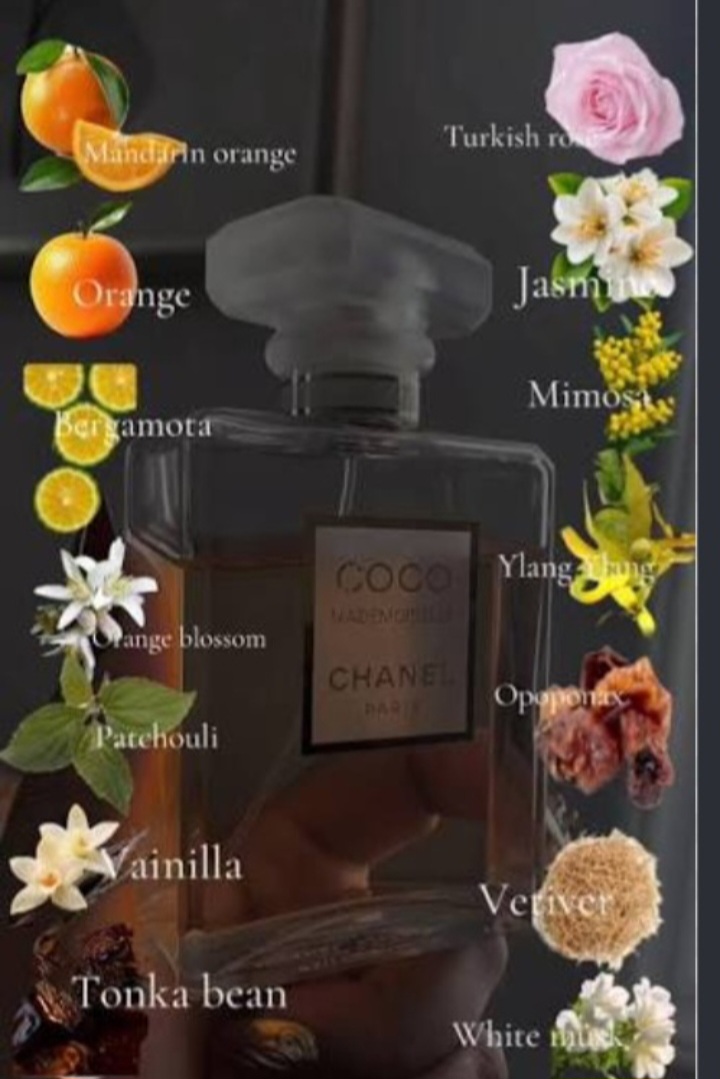 بررسی عطر کوکو شنل مادمازل 30ml – 30% | پرفیوم لوکس با اسانس پایان برترند فرانسه