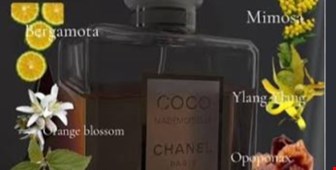 بررسی عطر کوکو شنل مادمازل 30ml – 30% | پرفیوم لوکس با اسانس پایان برترند فرانسه