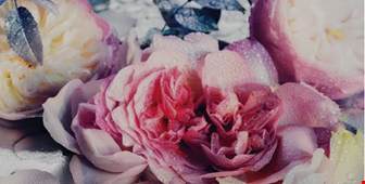 رایحه عطر گل ها